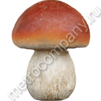 .12527       1311   211 +%.jpg