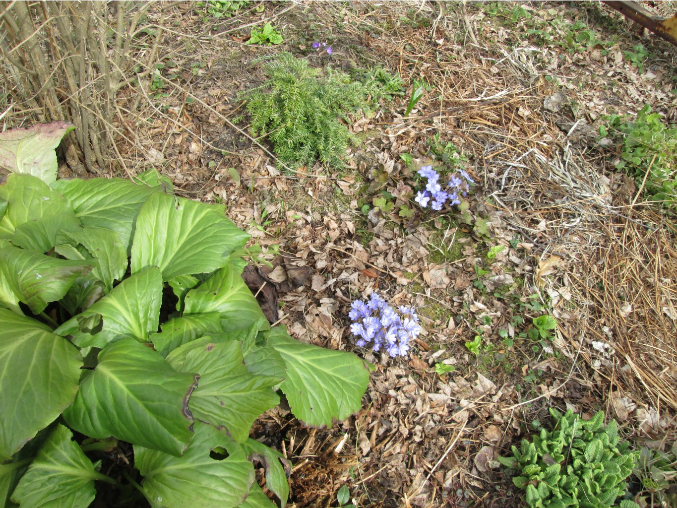 IMG 4838.JPG