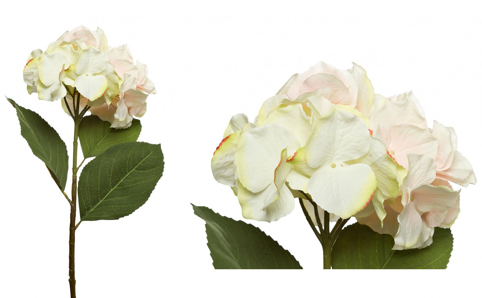   9F28060MK-4838  430.jpg