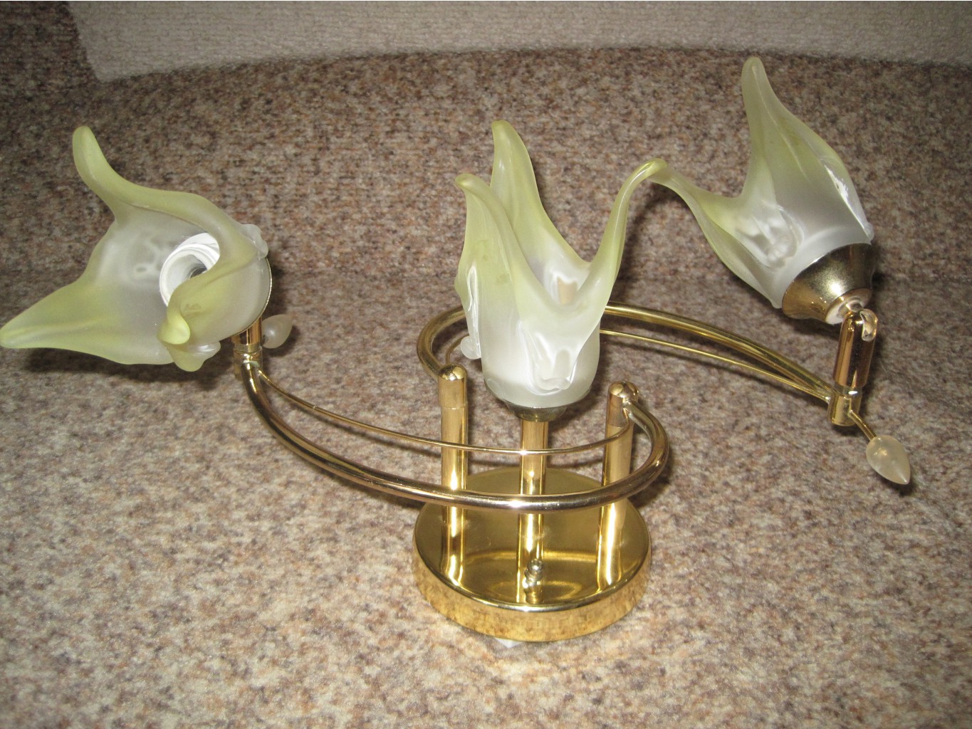IMG 5048.JPG