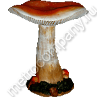 .12337     3530   658 +%.jpg