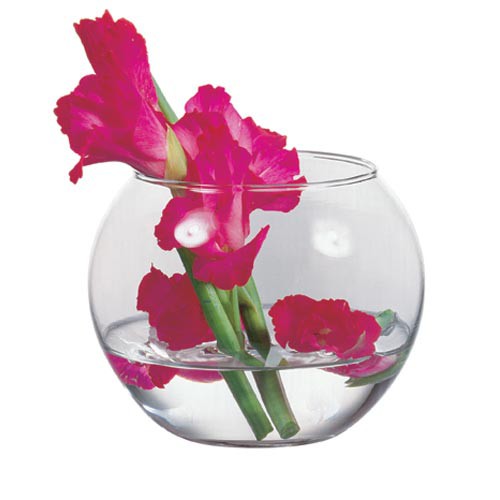 43427  FLORA 188,76+%.jpg