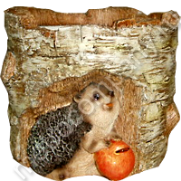 .11254        1316   313 +%.jpg