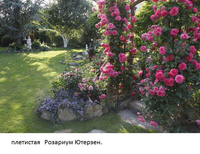 Rosarium Uetersen4.jpg