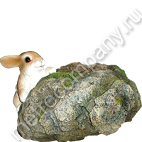 .11131      2920   419 +%.jpg