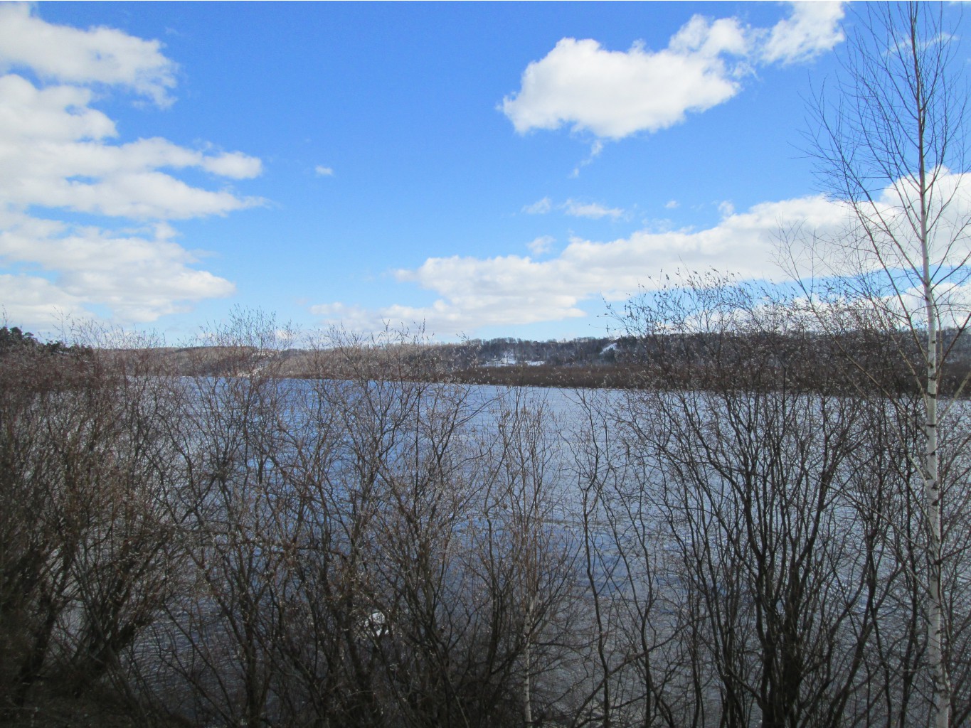 IMG 4769.JPG
