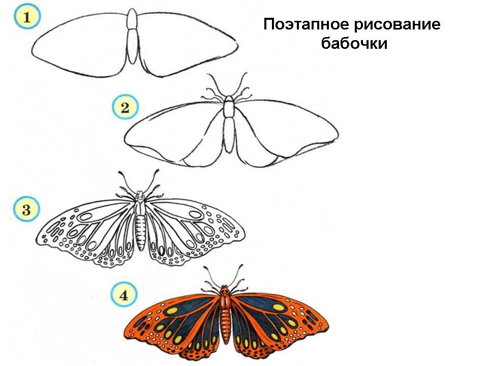 Ris-nasekomih2.jpg