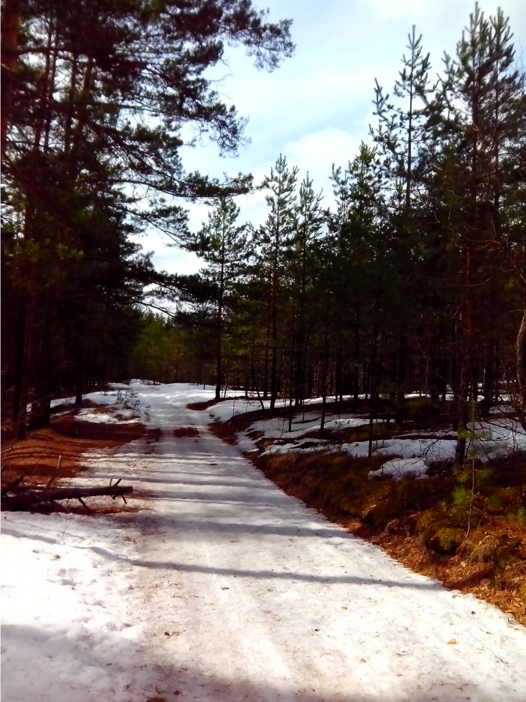 IMG 20170409 120114.jpg