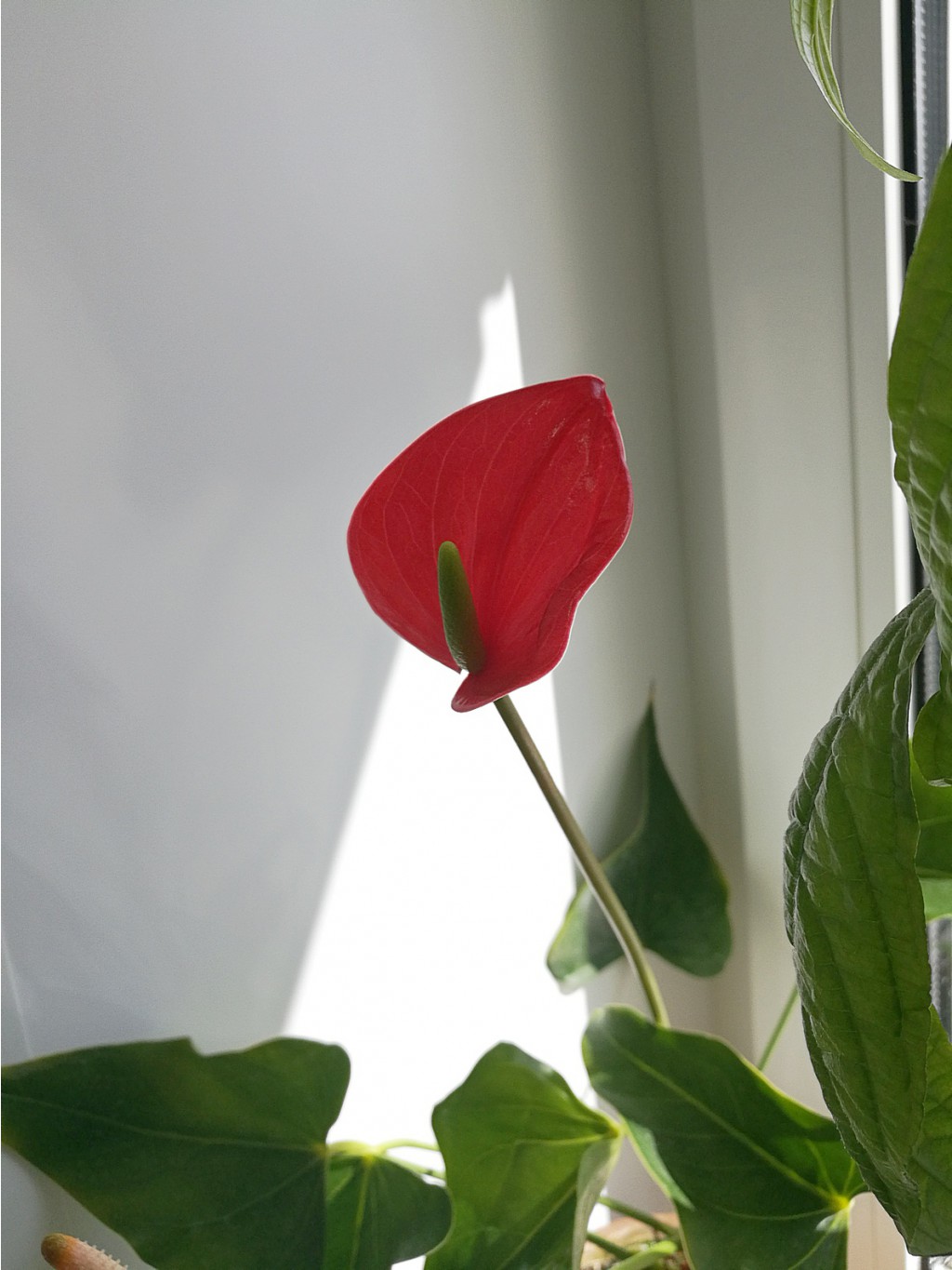 IMG 20170423 130412.jpg