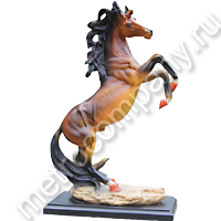 .NF86033      2032   494+%.jpg