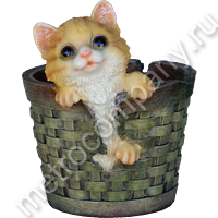 .11279      1820   340+%.jpg