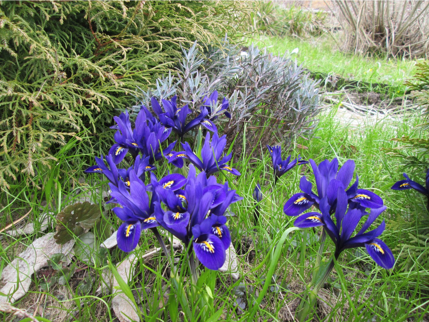IMG 4824.JPG