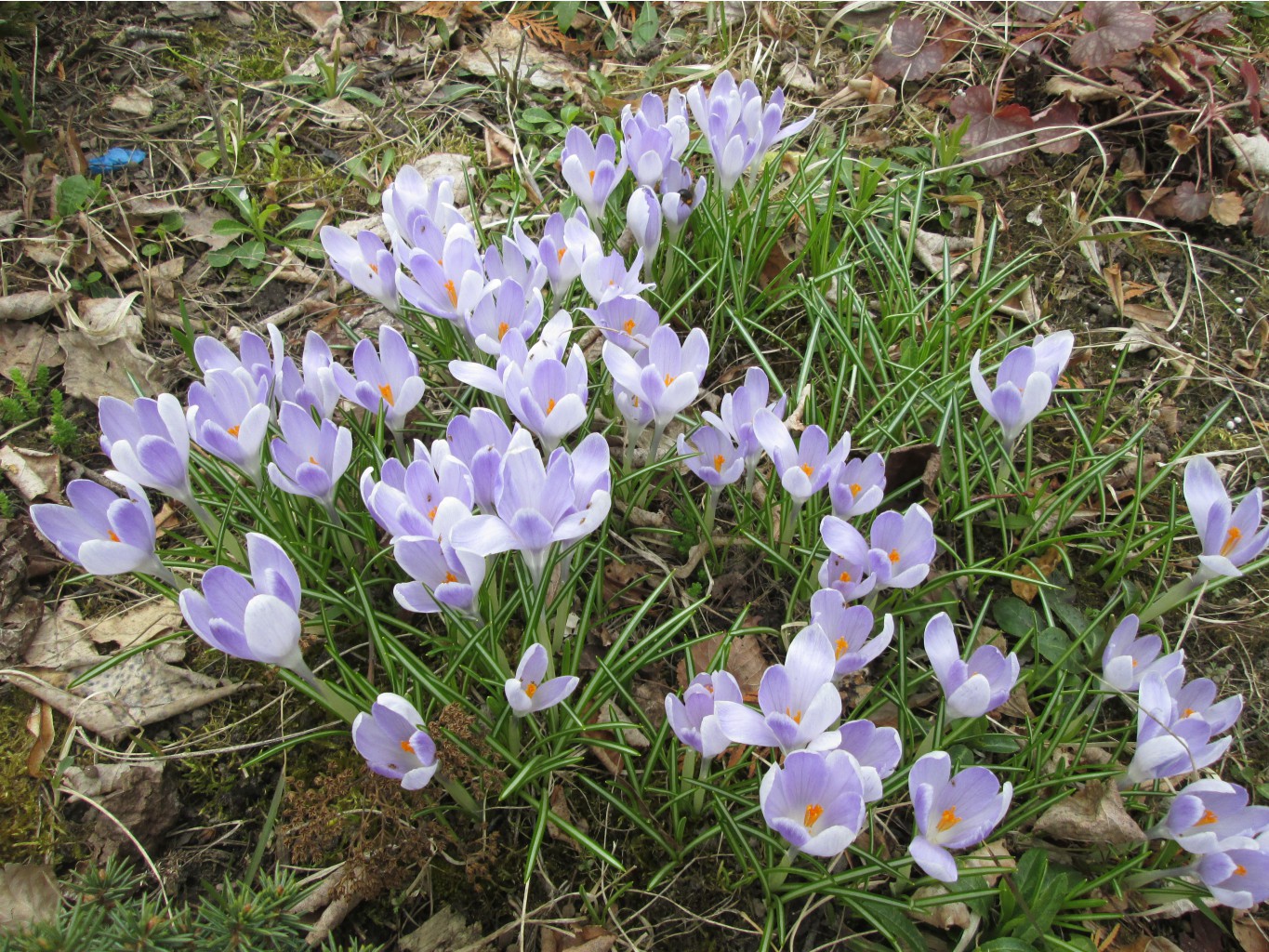 IMG 4817.JPG