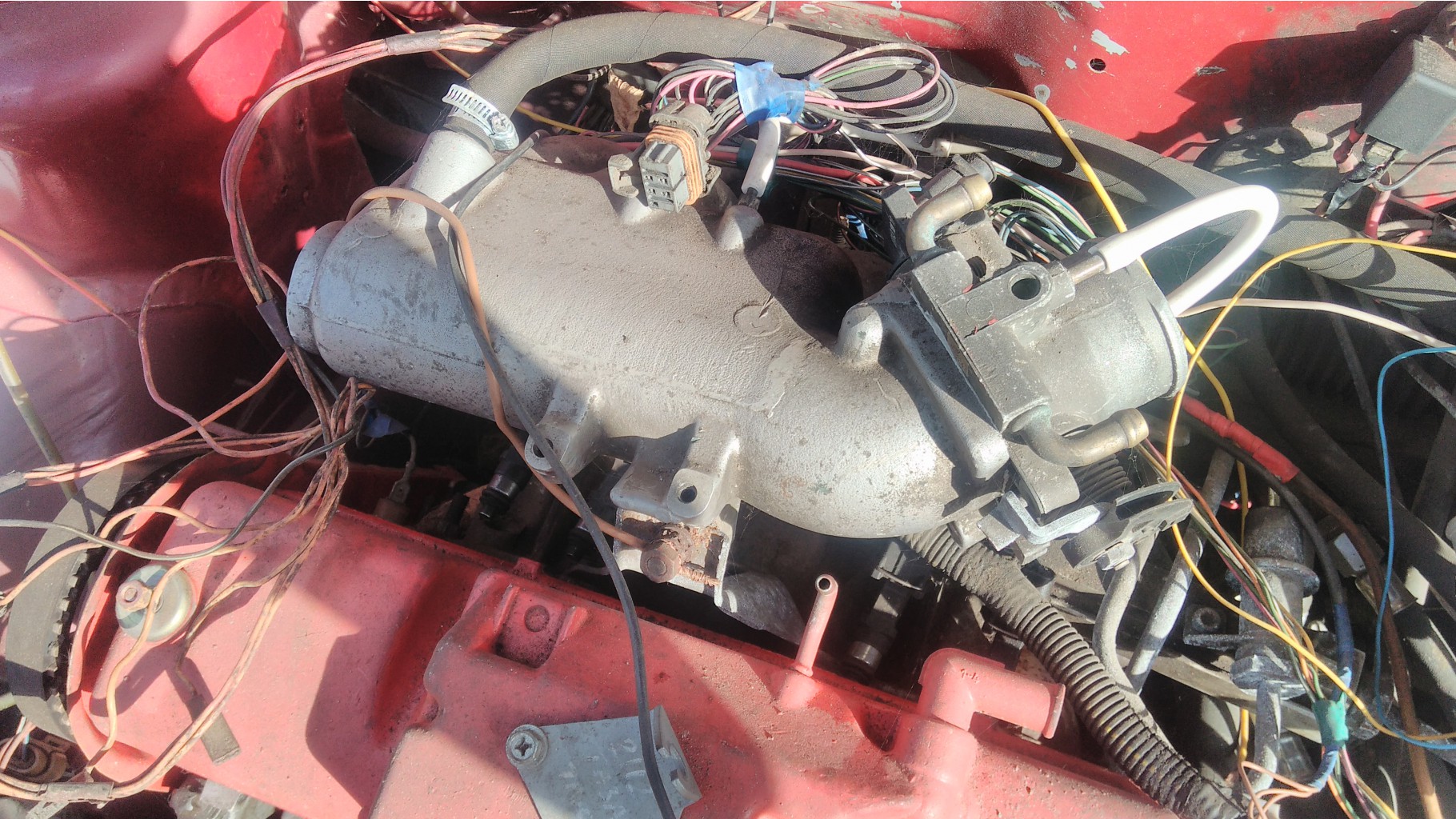 IMG 20170423 160754.jpg