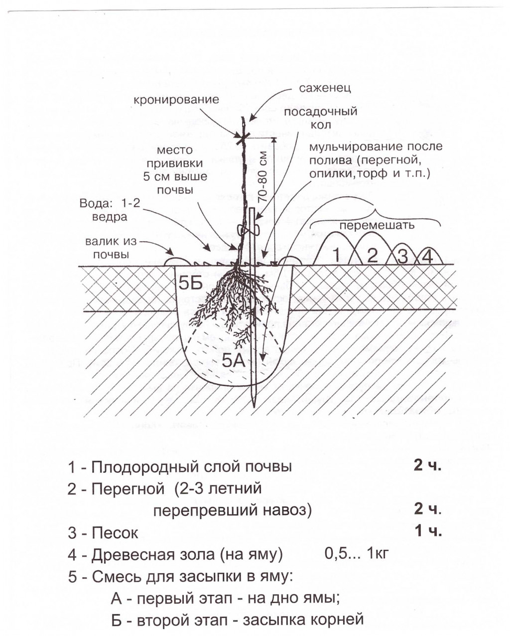 7170342.Scan 20130426 220437.jpg