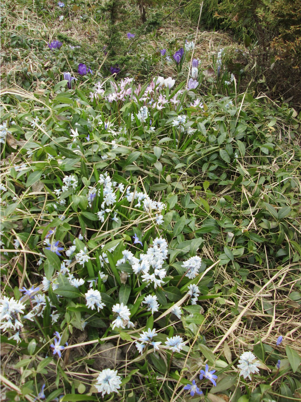 IMG 4819.JPG