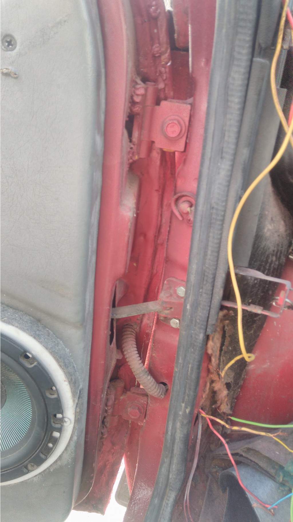 IMG 20170423 160424.jpg