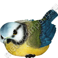 .11011    1824   372 +%.jpg