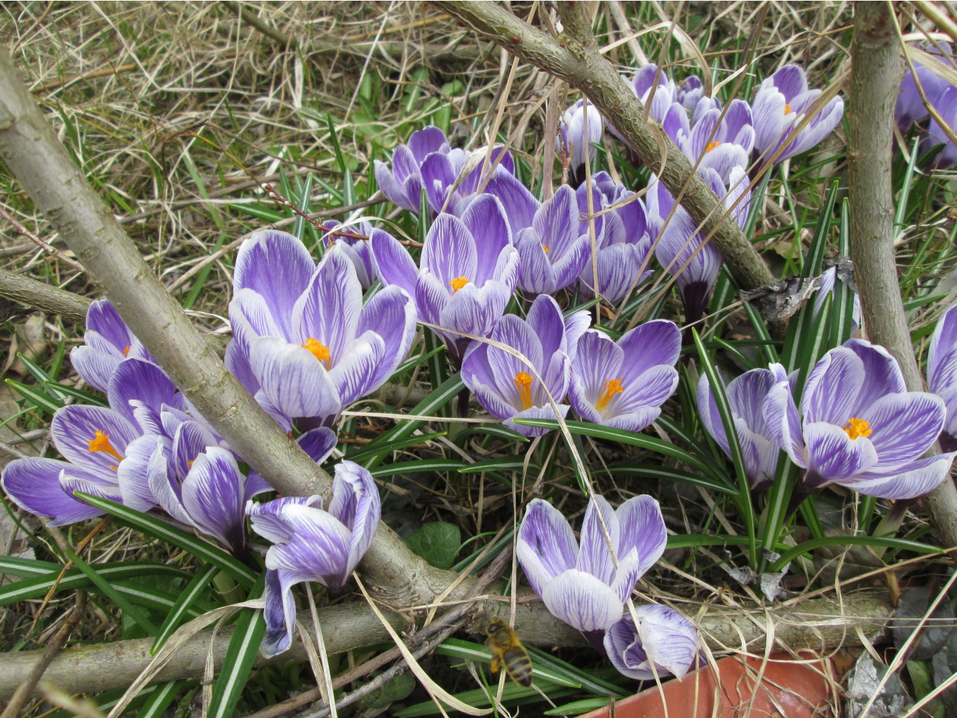 IMG 4828.JPG