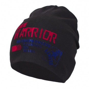 Шапка детская 170,00