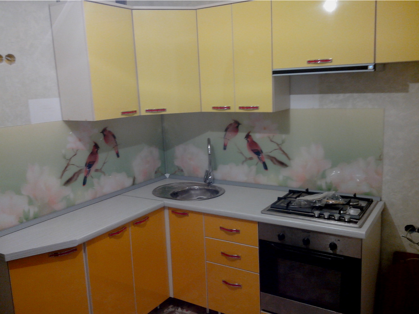 IMG 20141201 191836.jpg