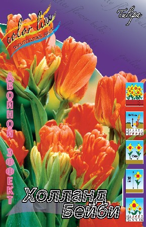 13,23.   (     10 .).jpg