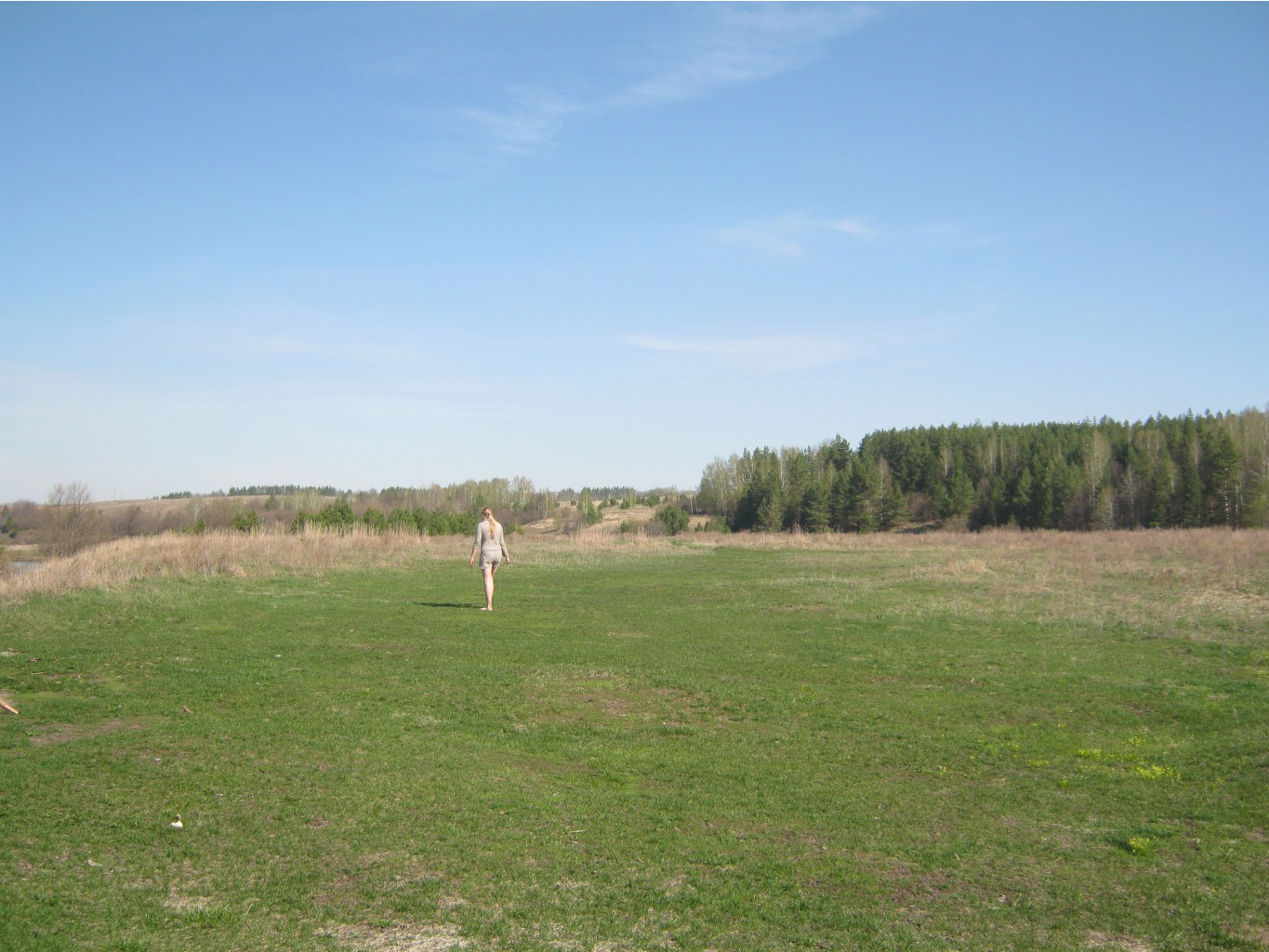 IMG 2345.JPG