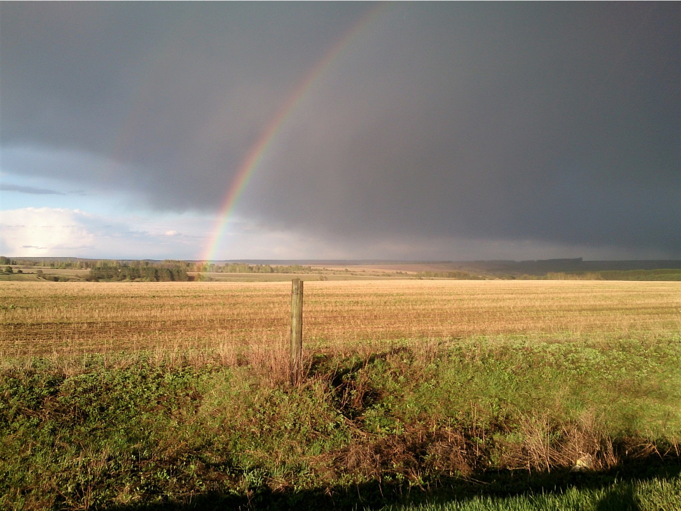 DSC 2666.JPG