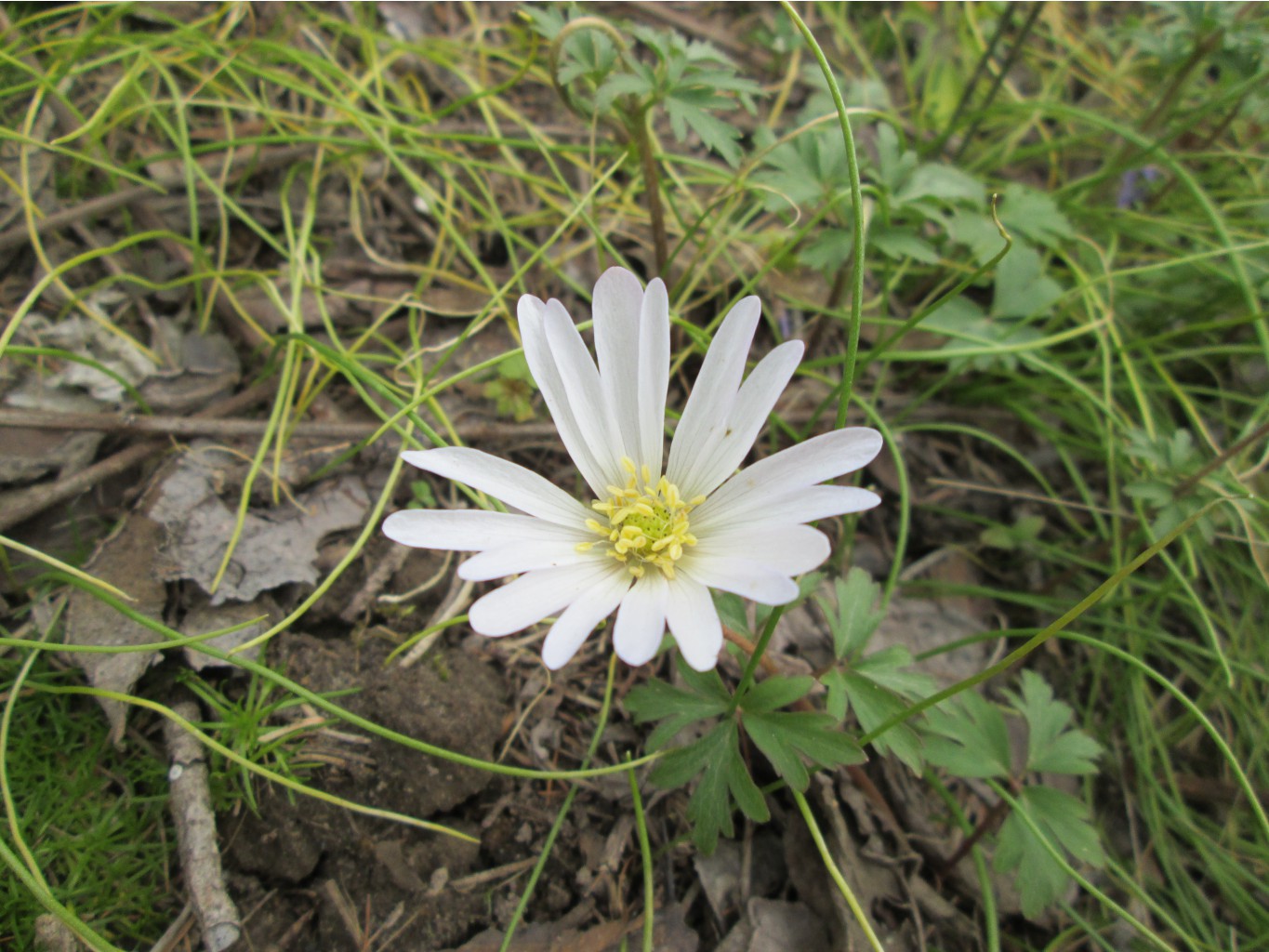 IMG 4857.JPG