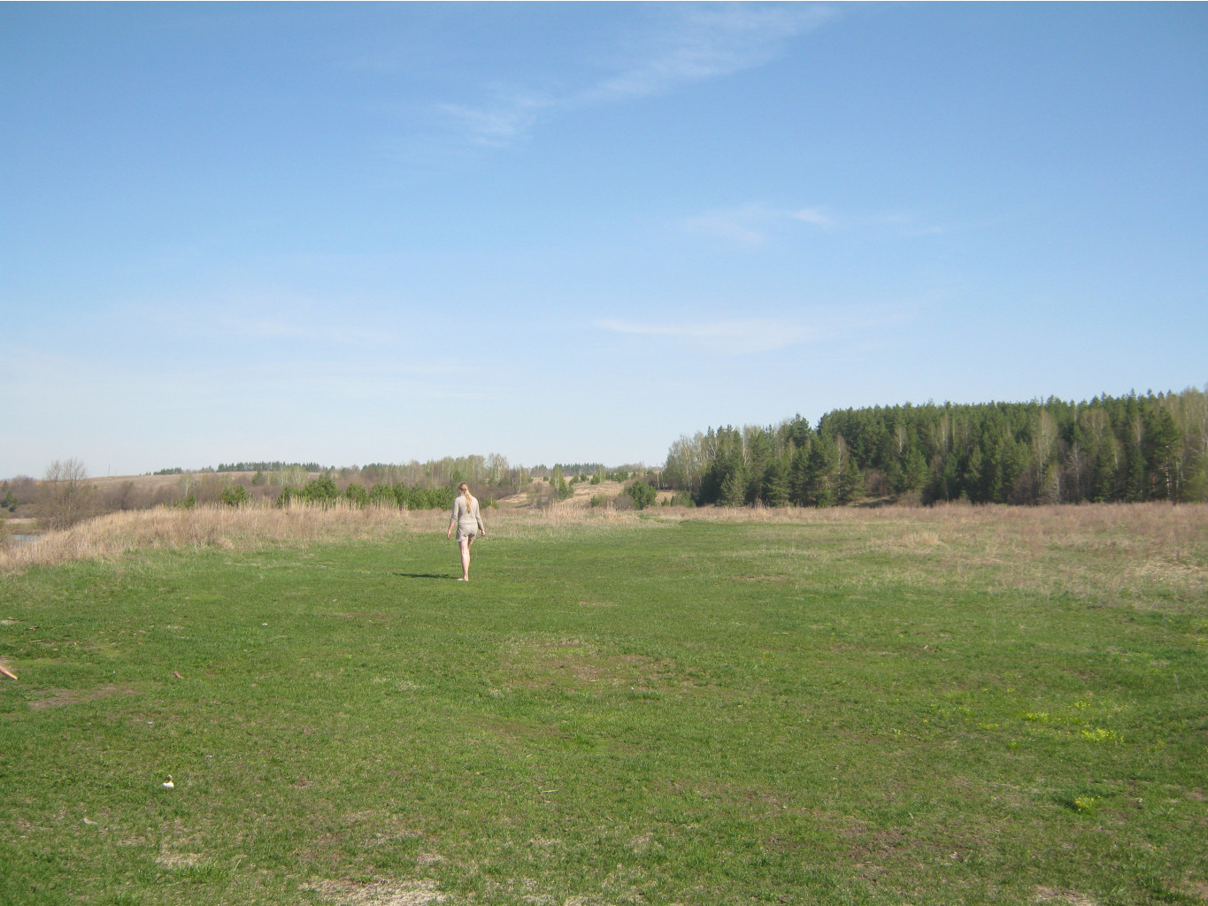 IMG 2345.JPG