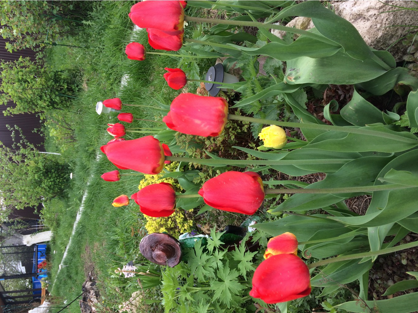 IMG 4724.JPG