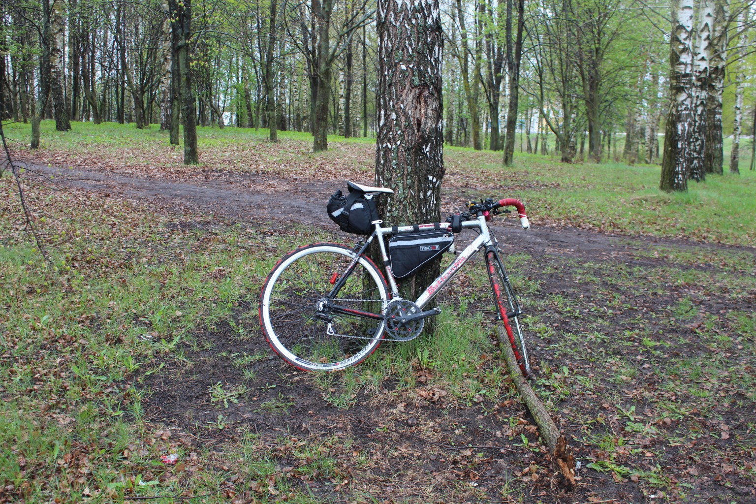 IMG 7000.JPG