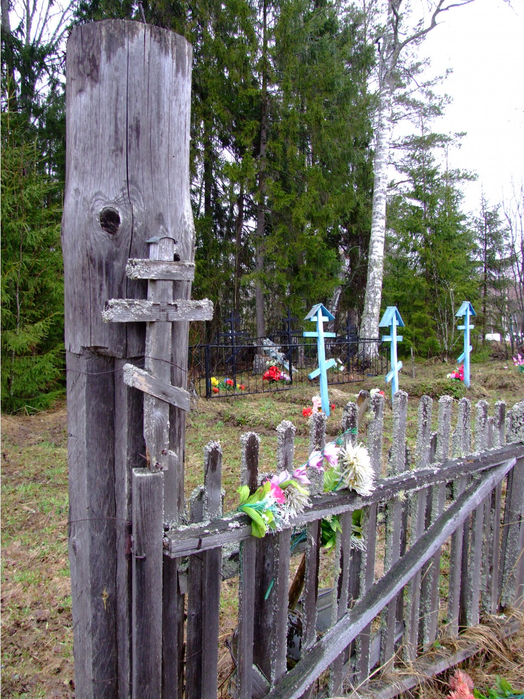 DSCF6458.JPG