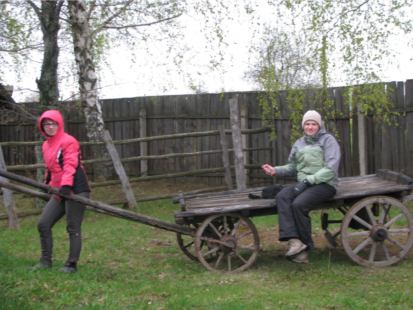 IMG 7372.JPG