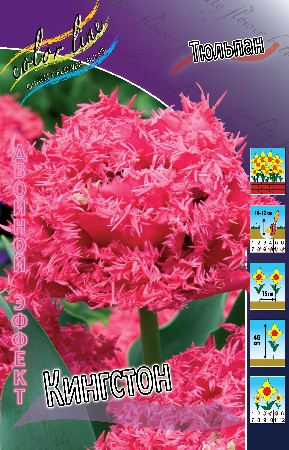 19,17.  (   10 .,   5.).jpg