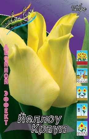 19,17.   (   10 .,   5.).jpg