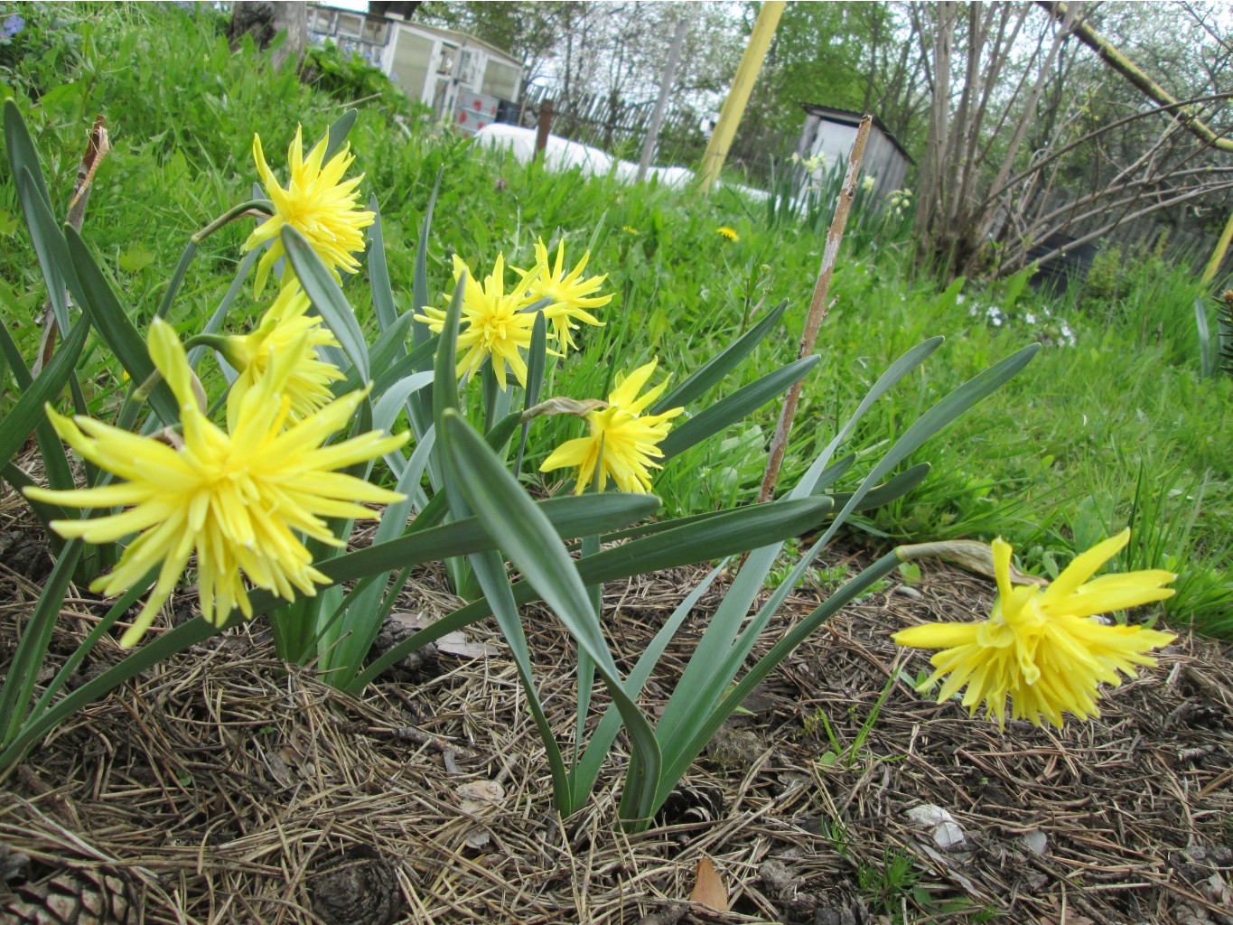 IMG 4870.JPG
