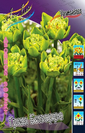 30,57.   (   7 .,   3.).jpg