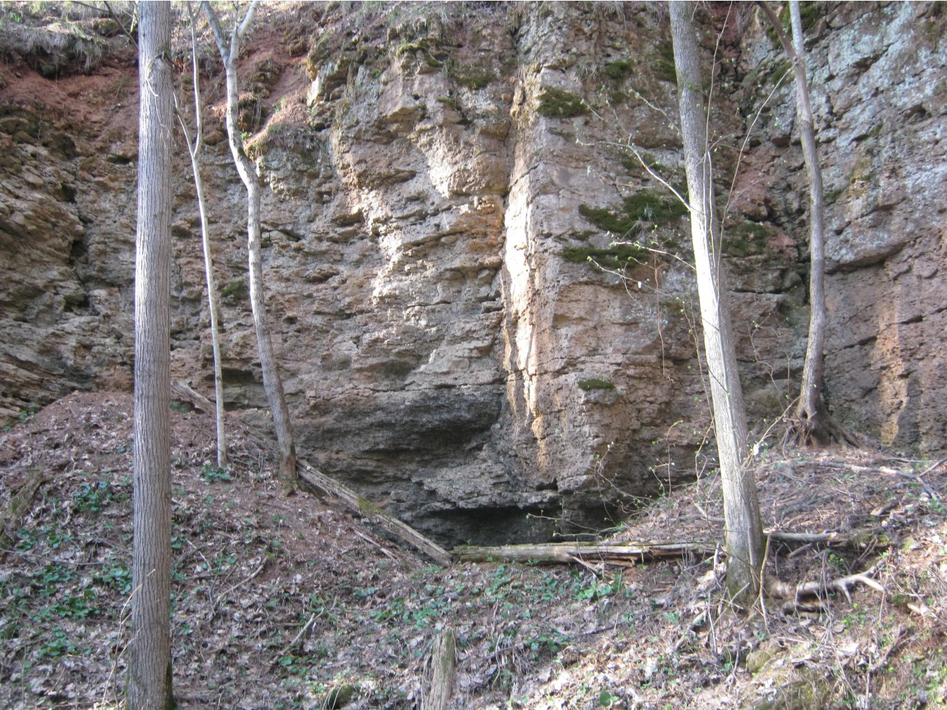 IMG 2300.JPG