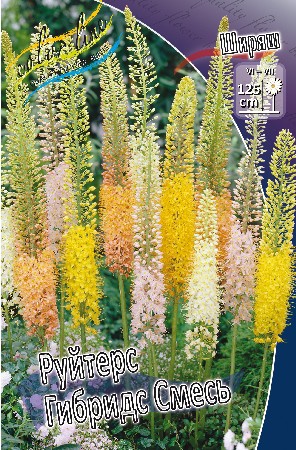 90,5.  (eremurus)   (     1 .).jpg