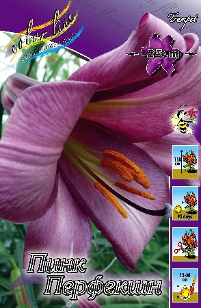 38,56.   (   5 .,   3.).jpg