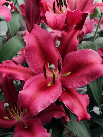 32,2.  (   5 .,   3.).jpg