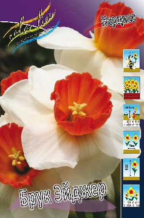 19,17.   (   10 .,   5.).jpg