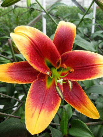 43,8.   (   5 .,   1.).jpg