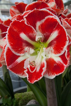 240,7.  (     1 .).jpg