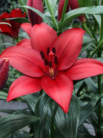 19,49.  (     7 .)16.jpg