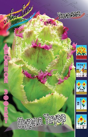 25,11.   (   10 .,   5.).jpg