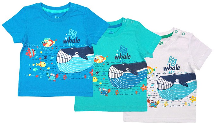   . CSB61610, 181+%.jpg