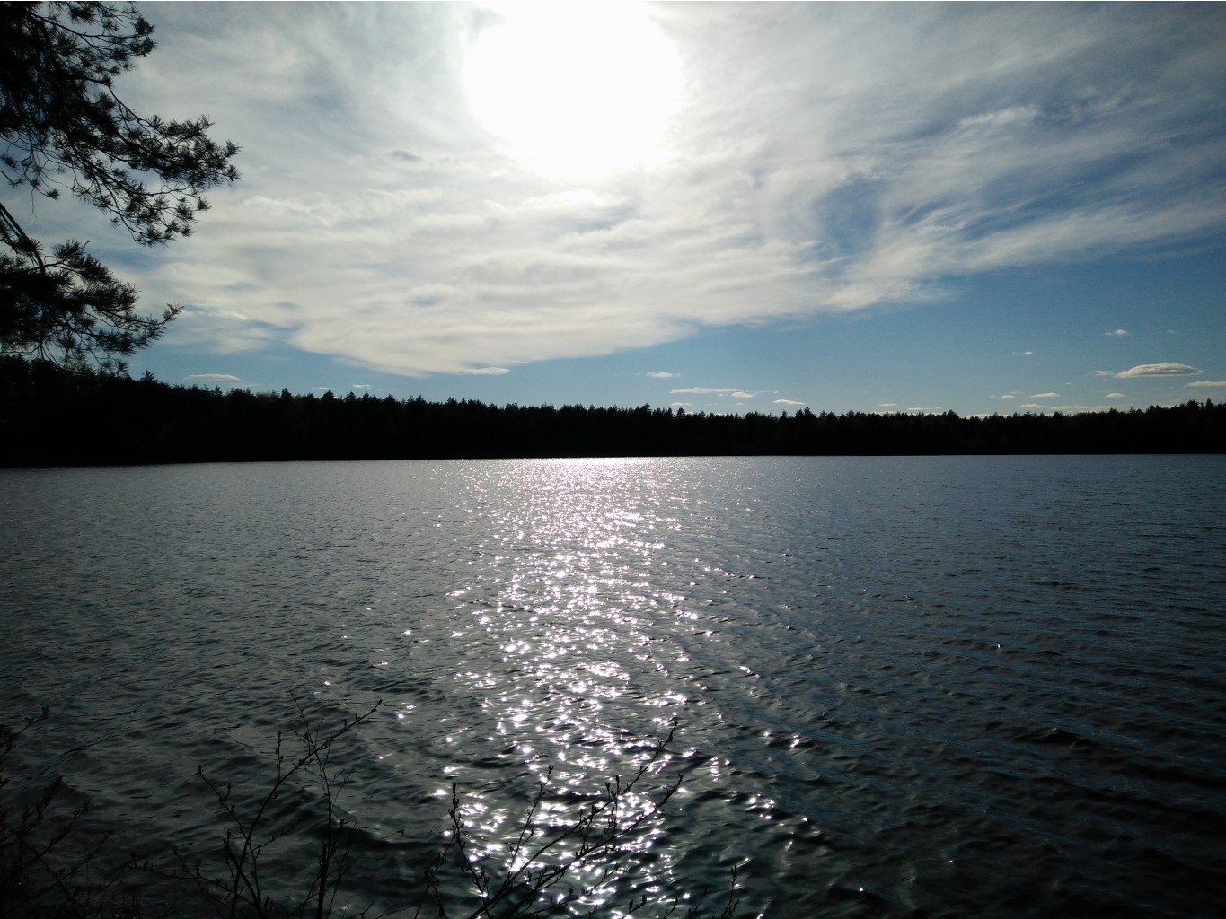 IMG 20170507 164446.jpg