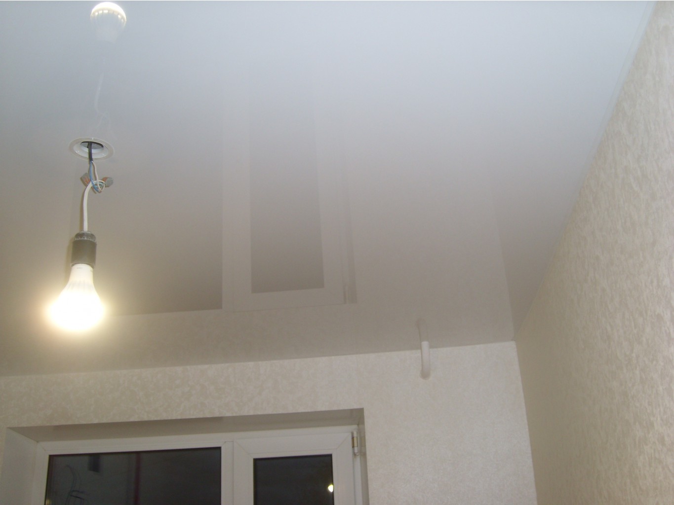 SL271233.JPG